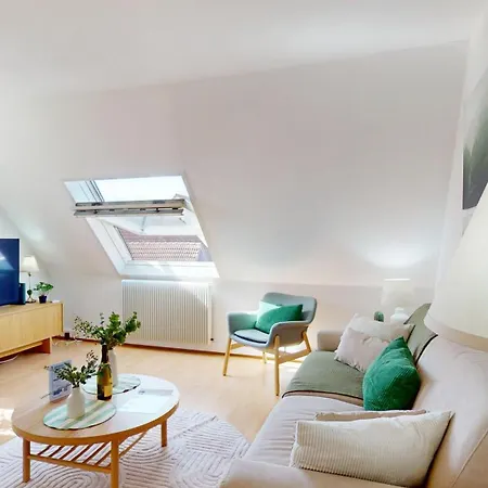 L'emeraude 360 Avec Parking Lejlighed Colmar